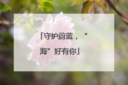 守护蔚蓝，“海”好有你