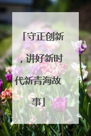 守正创新，讲好新时代新青海故事