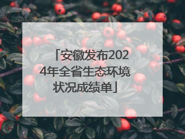 安徽发布2024年全省生态环境状况成绩单