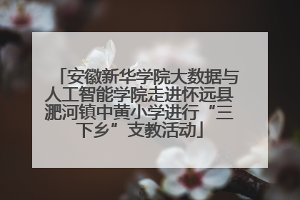 安徽新华学院大数据与人工智能学院走进怀远县淝河镇中黄小学进行“三下乡”支教活动