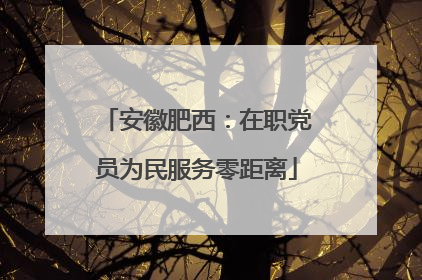 安徽肥西：在职党员为民服务零距离