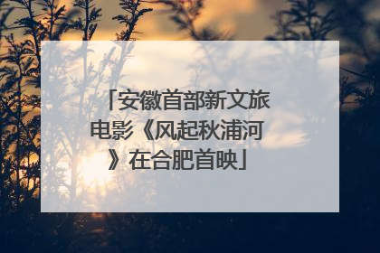 安徽首部新文旅电影《风起秋浦河》在合肥首映