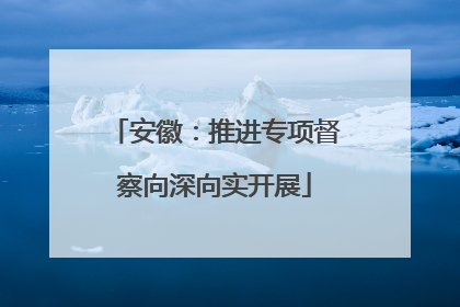 安徽：推进专项督察向深向实开展
