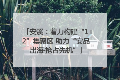 安溪：着力构建“1+2”集聚区 助力“安品出海·抢占先机”