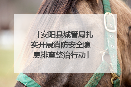 安阳县城管局扎实开展消防安全隐患排查整治行动