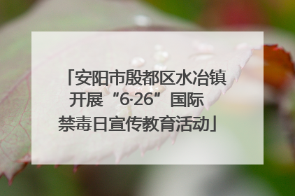 安阳市殷都区水冶镇开展“6·26”国际禁毒日宣传教育活动