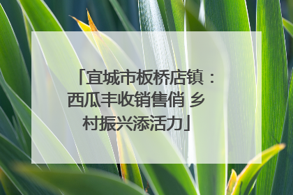 宜城市板桥店镇：西瓜丰收销售俏 乡村振兴添活力