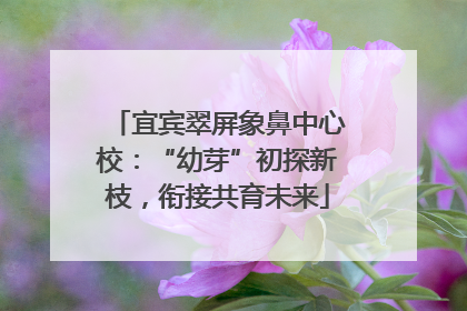 宜宾翠屏象鼻中心校：“幼芽”初探新枝，衔接共育未来