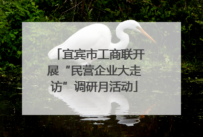 宜宾市工商联开展“民营企业大走访”调研月活动