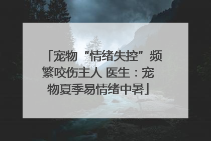 宠物“情绪失控”频繁咬伤主人 医生：宠物夏季易情绪中暑