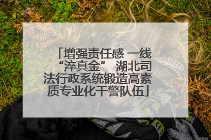 增强责任感 一线“淬真金” 湖北司法行政系统锻造高素质专业化干警队伍