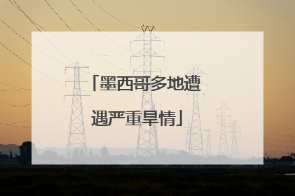 墨西哥多地遭遇严重旱情