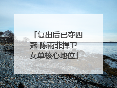复出后已夺四冠 陈雨菲捍卫女单核心地位