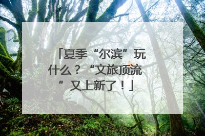 夏季“尔滨”玩什么？“文旅顶流”又上新了！