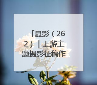 夏影（262）｜上游主题摄影征稿作品展——黄红专作品
