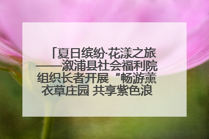 夏日缤纷·花漾之旅——溆浦县社会福利院组织长者开展“畅游薰衣草庄园 共享紫色浪漫”户外活动