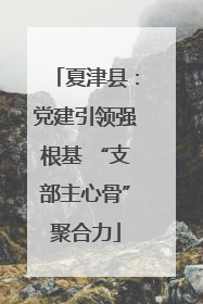 夏津县：党建引领强根基 “支部主心骨”聚合力