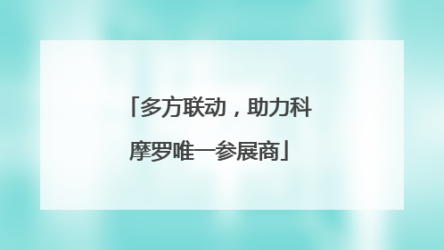 多方联动，助力科摩罗唯一参展商