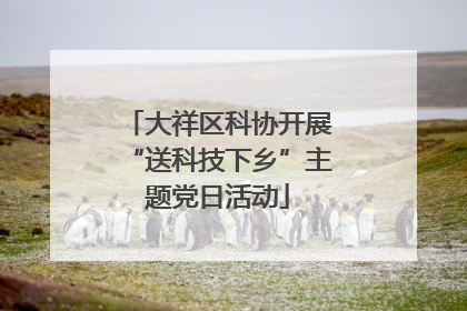 大祥区科协开展“送科技下乡”主题党日活动