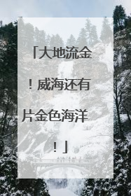 大地流金！威海还有片金色海洋！