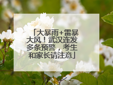 大暴雨+雷暴大风！武汉连发多条预警，考生和家长请注意