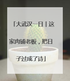 大武汉一日︱这家肉铺老板，把日子过成了诗