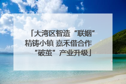 大湾区智造“联姻”精铸小镇 嘉禾借合作“破茧”产业升级