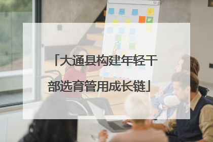 大通县构建年轻干部选育管用成长链