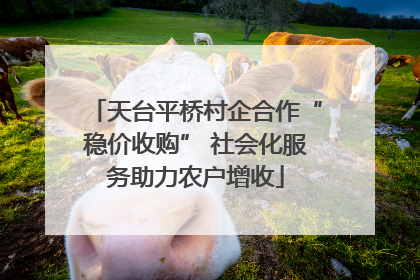 天台平桥村企合作“稳价收购” 社会化服务助力农户增收