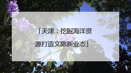 天津：挖掘海洋资源打造文旅新业态