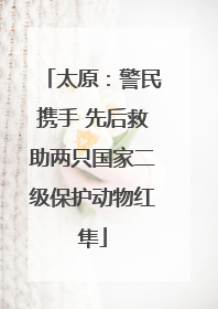 太原：警民携手 先后救助两只国家二级保护动物红隼