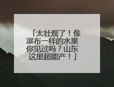 太壮观了！像瀑布一样的水果你见过吗？山东这里超能产！