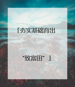 夯实基础育出“致富田”