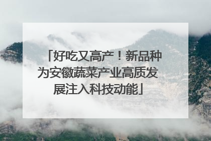 好吃又高产！新品种为安徽蔬菜产业高质发展注入科技动能