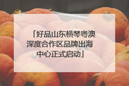 好品山东横琴粤澳深度合作区品牌出海中心正式启动