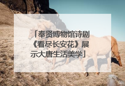 奉贤博物馆诗剧《看尽长安花》展示大唐生活美学