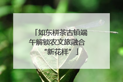 如东栟茶古镇端午解锁农文旅融合“新花样”