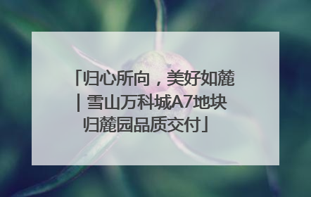 归心所向，美好如麓｜雪山万科城A7地块归麓园品质交付