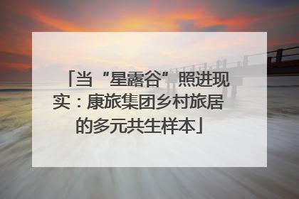 当“星露谷”照进现实：康旅集团乡村旅居的多元共生样本
