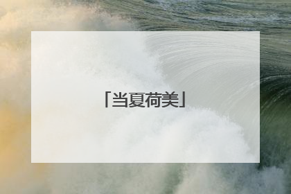 当夏荷美