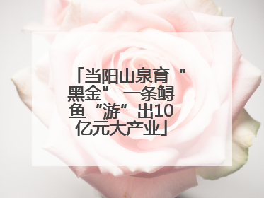 当阳山泉育“黑金” 一条鲟鱼“游”出10亿元大产业