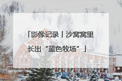 影像记录丨沙窝窝里长出“蓝色牧场”