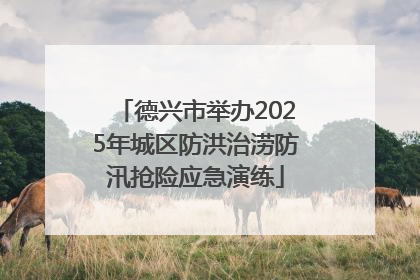 德兴市举办2025年城区防洪治涝防汛抢险应急演练