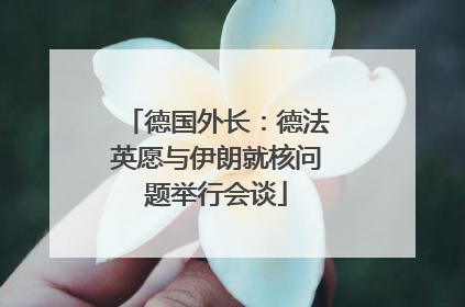 德国外长：德法英愿与伊朗就核问题举行会谈