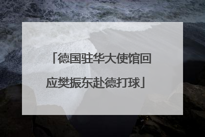 德国驻华大使馆回应樊振东赴德打球