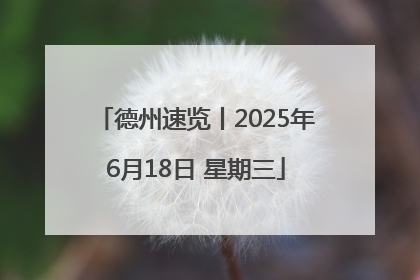 德州速览丨2025年6月18日 星期三