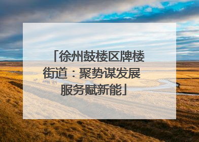 徐州鼓楼区牌楼街道：聚势谋发展 服务赋新能