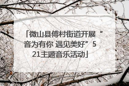 微山县傅村街道开展“音为有你 遇见美好”521主题音乐活动