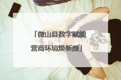 微山县数字赋能营商环境焕新颜