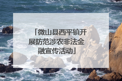 微山县西平镇开展防范涉农非法金融宣传活动